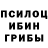 Псилоцибиновые грибы Magic Shrooms Matilda Mensah
