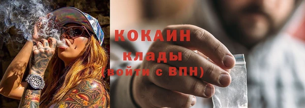 дживик Абинск